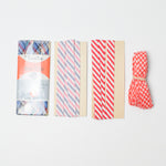 Red, White + Blue Bias Trim Bundle