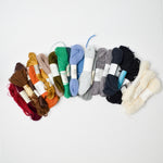 Rainbow Crewel Wool + Assorted Needlepoint Thread Bundle