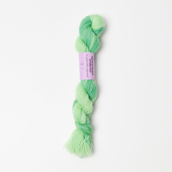 Wintermint 37 Needle Necessities French Wool Overdyed Thread - 1 Skein