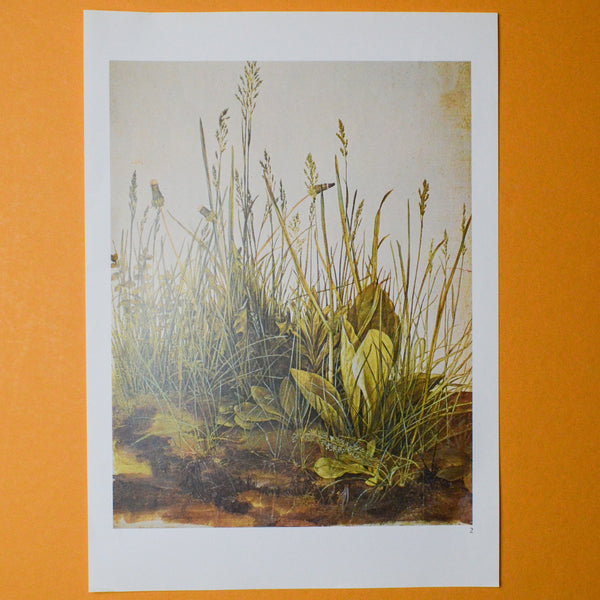 Reed Botanical Print