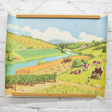 Summer + Hospital Double-Sided Vintage French Educational Print - 22" x 30"