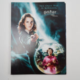Harry Potter The Definitive Movie Posters Set