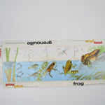 Frog "What's Next?" Puzzle by Jan Ormerod