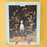 Dream World Mushroom Boy 500 Piece Puzzle