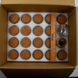 Round Glass Jars with Cork Stoppers - Set of 20