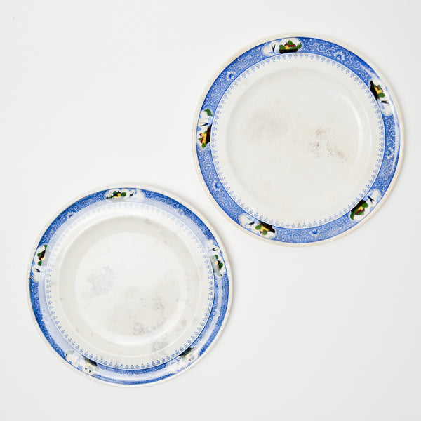 Blue + White Plates - Set of 2
