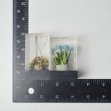 Miniature Plants - Set of 2