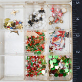 Beads in Clear Compartment Case