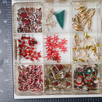 Beads in Clear Compartment Case