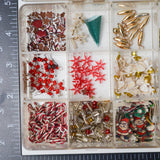 Beads in Clear Compartment Case