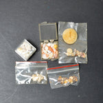 Miniature Shell Bundle