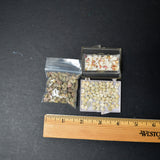 Miniature Shell Bundle
