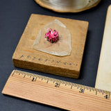 Bow-Making + Gift Miniature Bundle