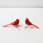 Red Bird Bundle - Set of 2