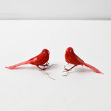 Red Bird Bundle - Set of 2