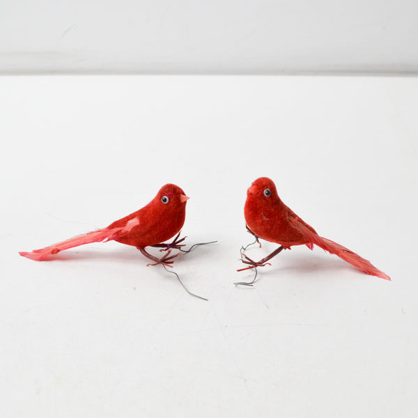 Red Bird Bundle - Set of 2