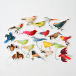 Miniature Bird Bundle - Set of 23