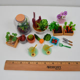 Miniature Garden + Houseplants