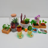 Miniature Garden + Houseplants