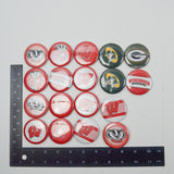 Wisconsin Sports Pins