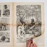 Frank Leslie's Illustrated Weekly - July 13, 1893