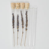Dried Lavender Sprigs in Glass Tubes - Set of 4 + Extra Tubes