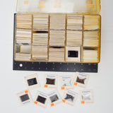 Architecture, Graphic Design + Color Theory Slides in Organizing Case