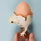 Little Chick Egg Cup