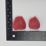 Happy Organics Strawberry Beeswax Candles