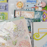 Cute Phrases + Nature Scrapbook Sticker Embellishments