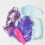 Colorful Feather Bundle