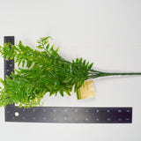 Fake Plastic Fern Branches