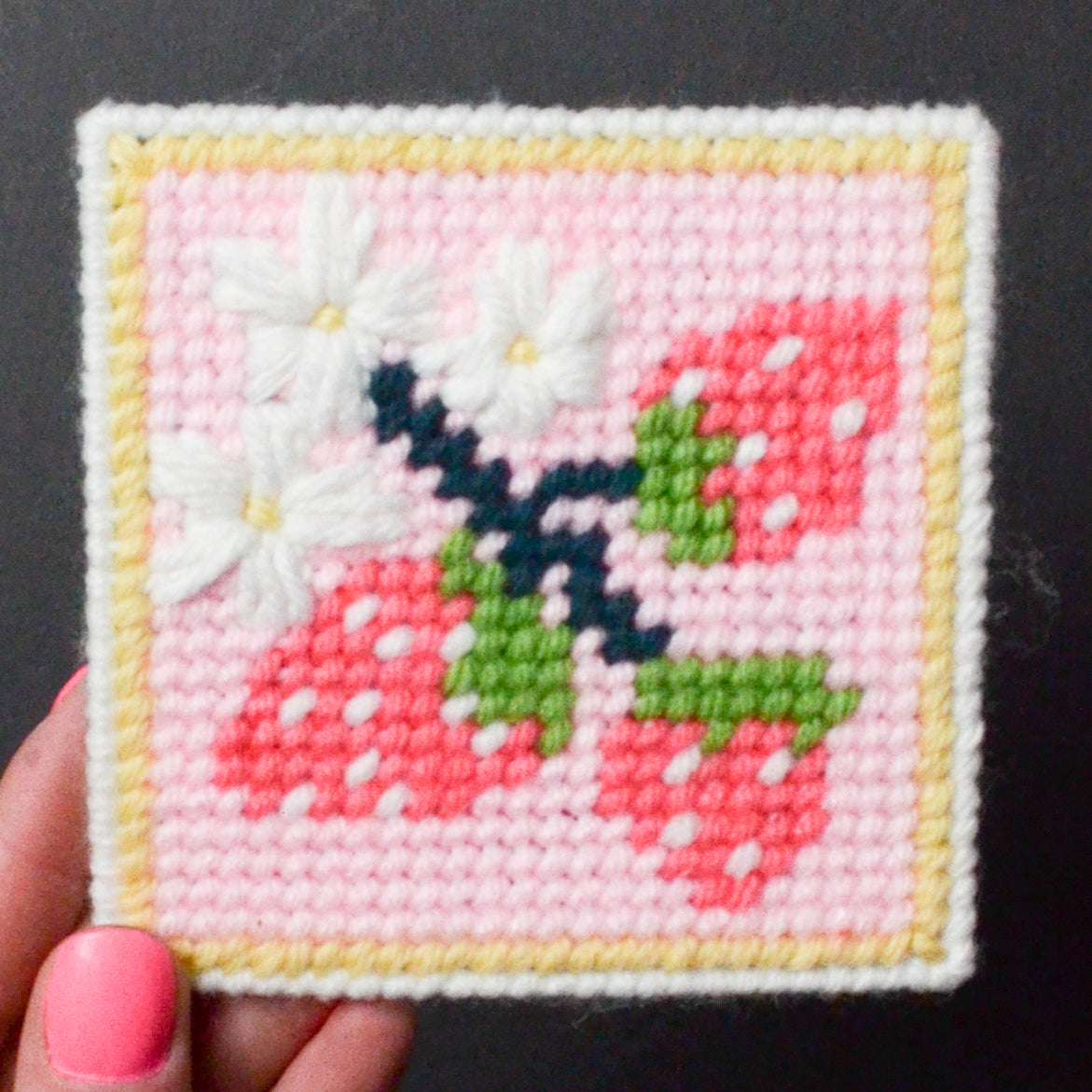 Strawberry Patch Needlepoint Starter Kit Make & Mend