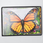 Monarch Butterfly + Assorted Floral Cards and Envelopes Default Title