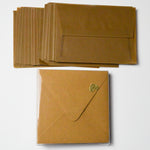 Brown Translucent Envelopes + Square Kraft Paper Envelope Bundle