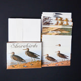 Shorebirds Bird Card Set