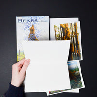 Bear Card Bundle