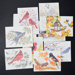 Bird Cards with Envelopes - Set of 9