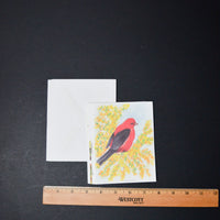 Bird Cards with Envelopes - Set of 9