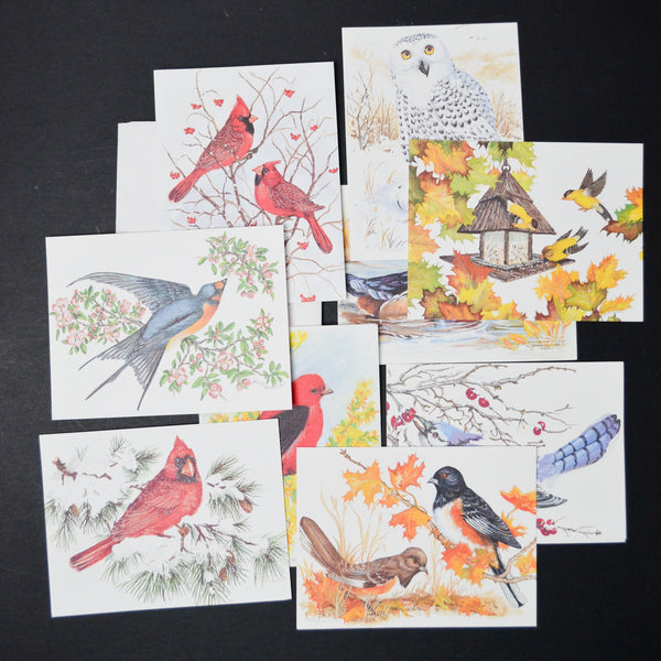 Bird Cards with Envelopes - Set of 9