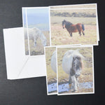 Pony Card Set - 6 Cards + Envelopes