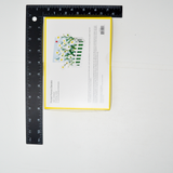 MoMA PIcket Fence Daisies Pop-Up Note Card Set