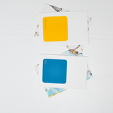 Color Sample Cards with Recycled Paper Envelopes - Set of 2