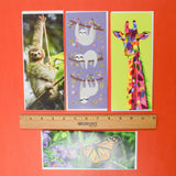 Cat Christmas Card Bundle