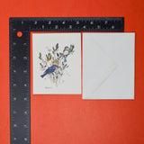 Eastern Bluebird Note Sheets, French Fold with Envelopes Vintage Card Set