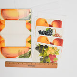 Fruit from the Smithsonian Notecards with Envelopes