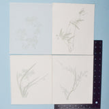 White Translucent Four Seasons Floral Stationery Set