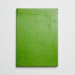 Green Snakeskin Lined Journal