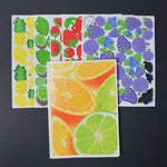 Fruit Notebook + Die Cut Foam Fruit Shapes Default TItle
