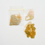 Gold Strung Jewelry Tags